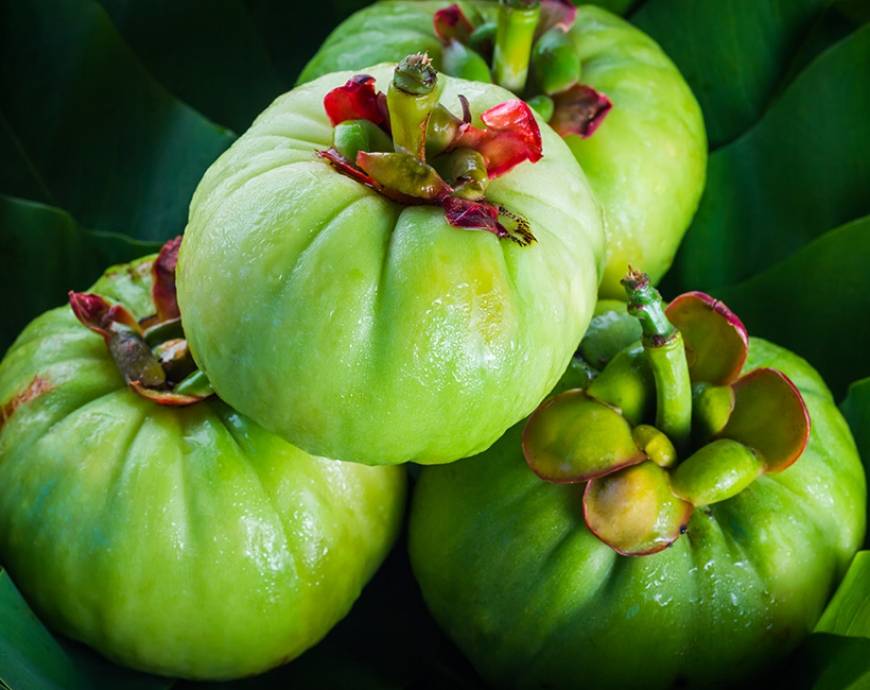 Garcinia Cambogia