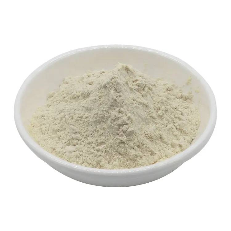 60% Conjugated Linoleic Acid Powder Free Fatty Acid