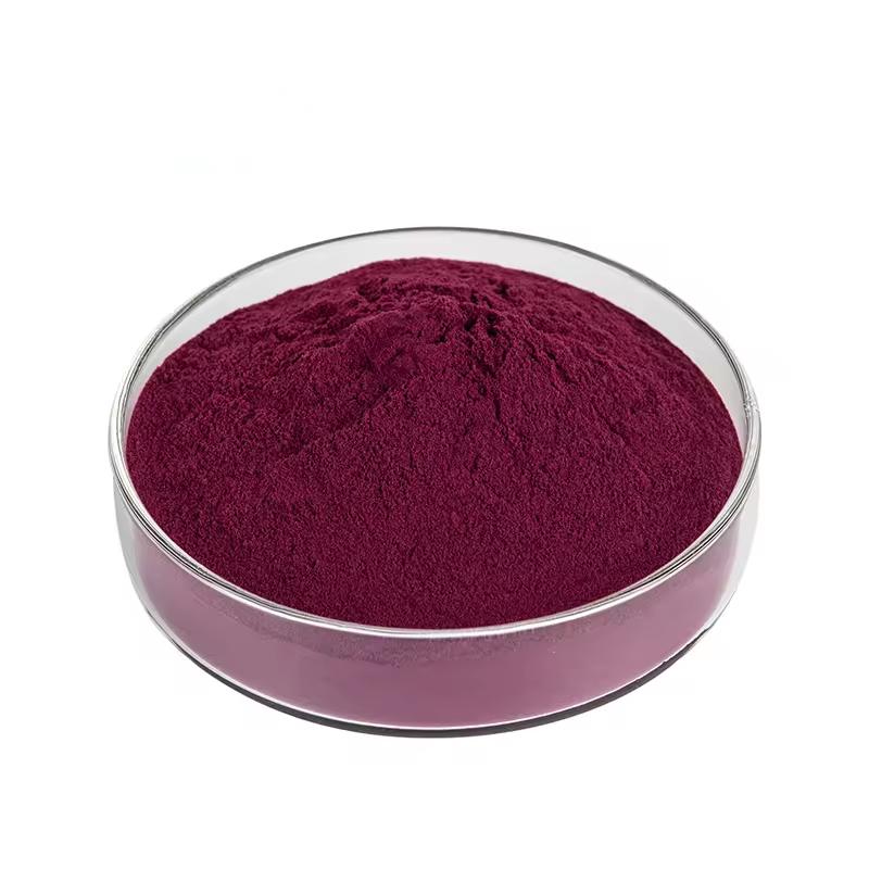 Bilberry Extract Powder