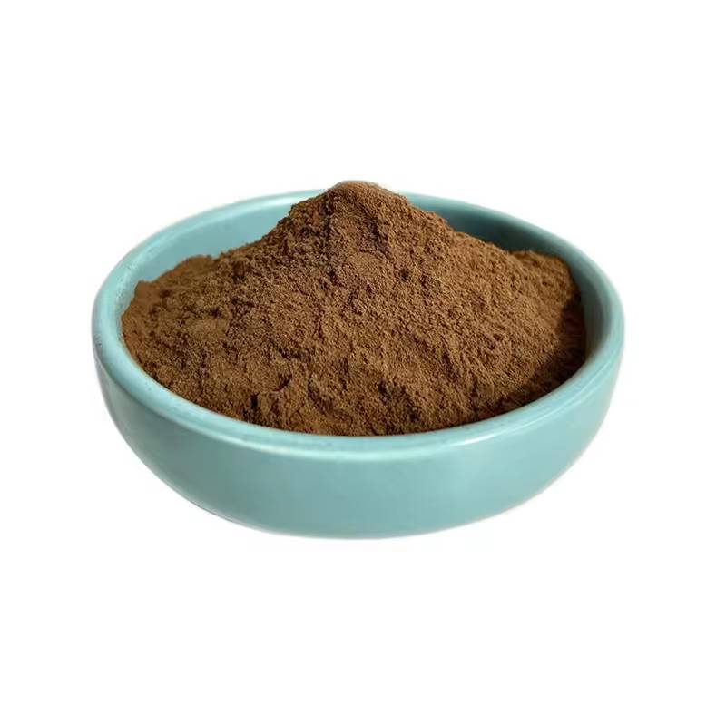 Ginkgo Biloba Extract Powder