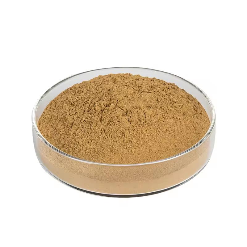 Green Tea Extract 40% L Theanine Powder