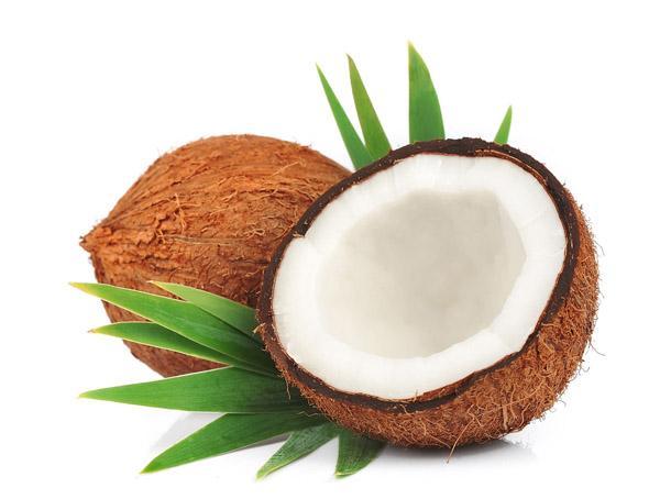  Coconut