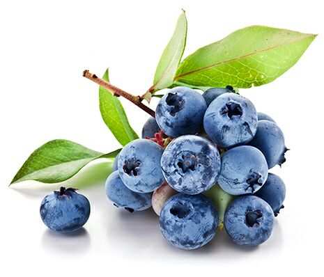 Blueberry Fruit