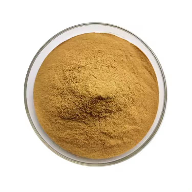 Alfalfa Extract 