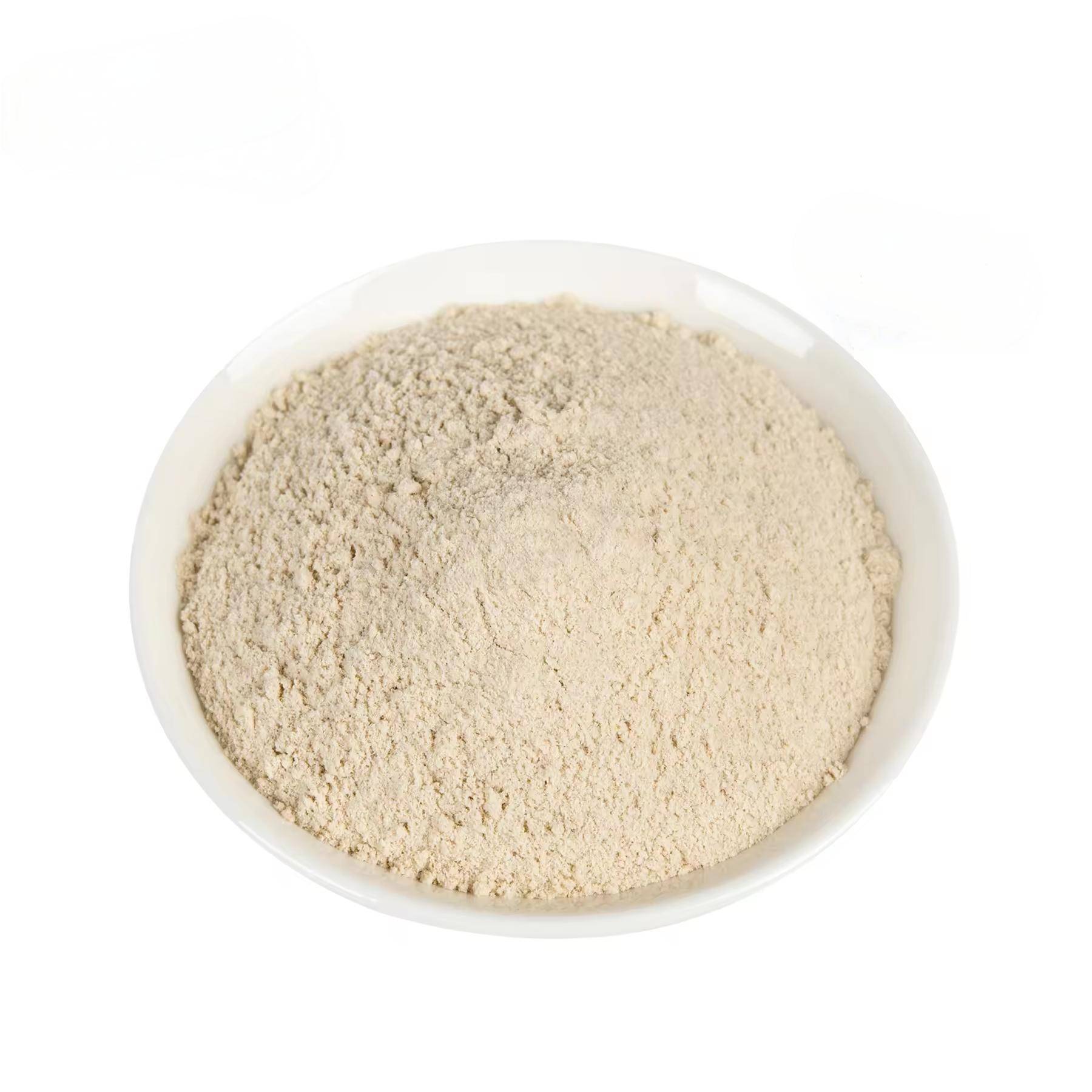 Rice Protein Powder(90% Protein)