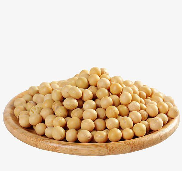 Soybean