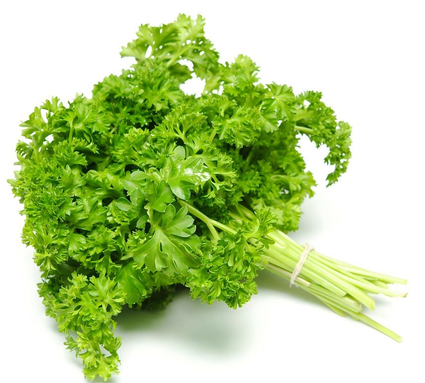  Parsley 