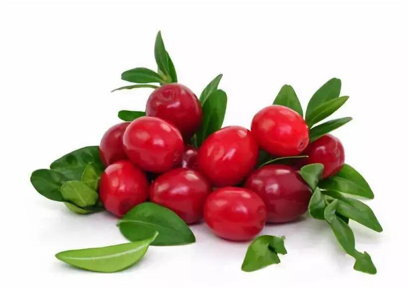 Cranberry 