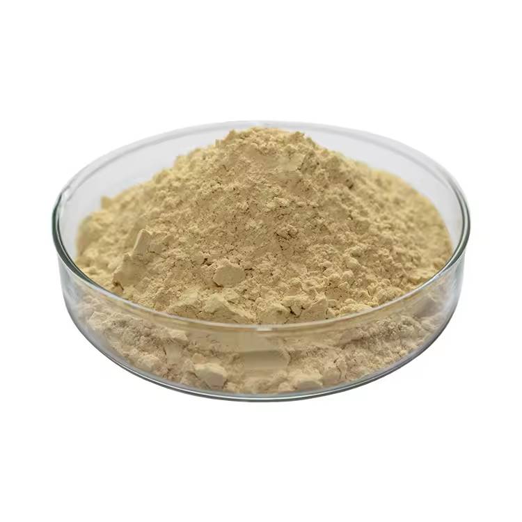 Ginseng Extract 80% Ginsenosides