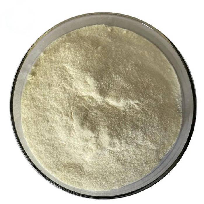 Algal DHA Powder